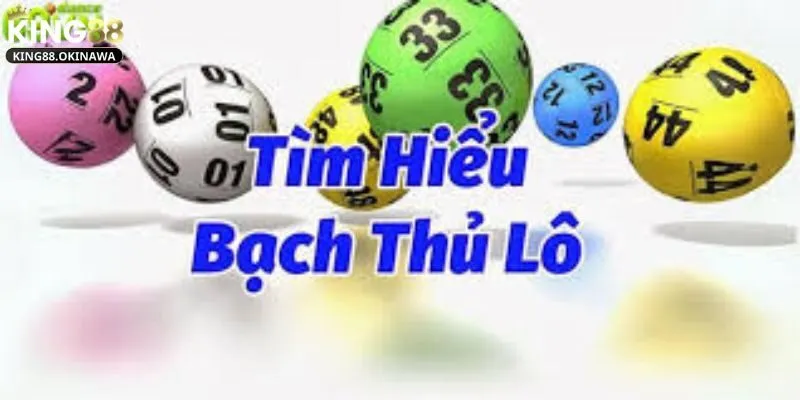 Bạch thủ lô là gì? Hướng dẫn chi tiết cho tân thủ