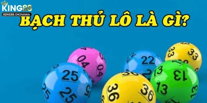 Bạch Thủ Lô Là Gì? Lựa Chọn Hoàn Hảo Cho Cao Thủ Lô Đ