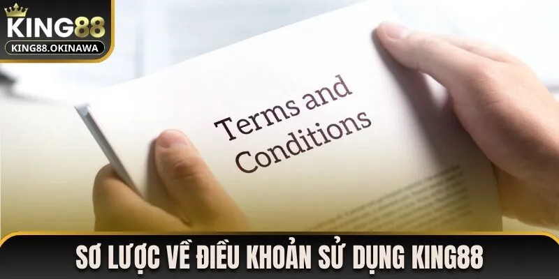 Sơ lược về điều khoản sử dụng