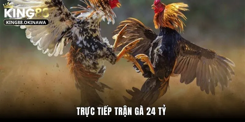 Trực Tiếp Trận Đá Gà 24 Tỷ - Sự Kiện Đấu Kê Hấp Dẫn Năm 2025