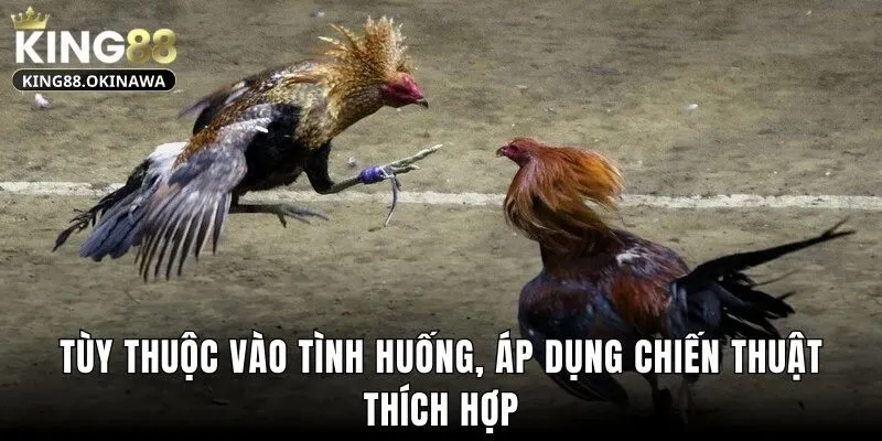 Tùy thuộc vào tình huống, áp dụng chiến thuật thích hợp