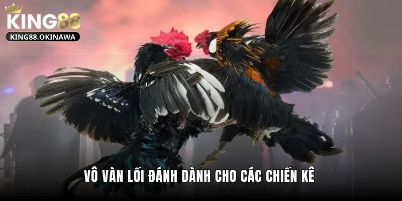 Vô vàn lối đánh dành cho các chiến kê 