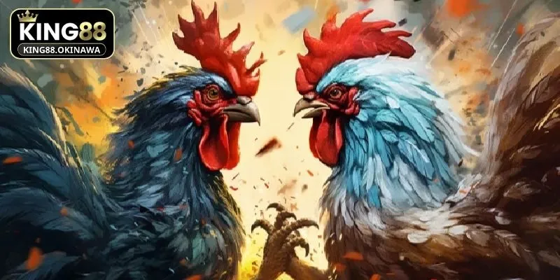 Giới thiệu sơ lược về đá gà nòi tại King88 