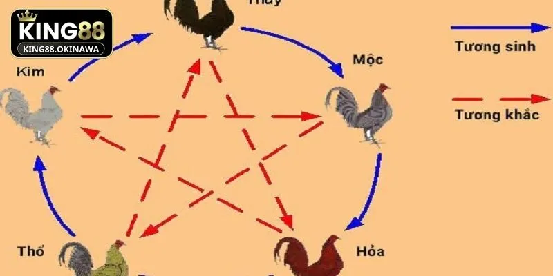 Những ảnh hưởng của màu mạng lên các chiến kê King88